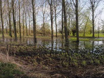 Kalkense Meersen (België)